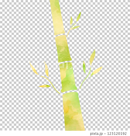 竹水彩插圖 竹水彩插圖 123120192