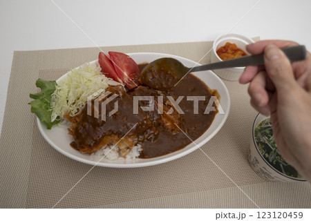 皆んな大好きカツカレースプーン上げ 皆んな大好きカツカレースプーン上げ 123120459