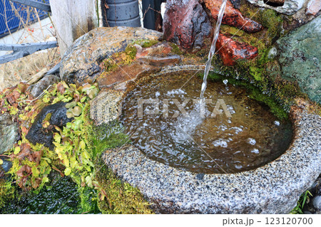 盛岡市内の賢治清水 盛岡市内の賢治清水 123120700