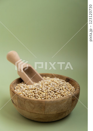 Raw pearl barley porridge Gluten free cereals. Health gut benefits. Concept of alternative whole spelt grain ingredient. Vegetarian diet recipes. Plant-based lifestyle. Copy space Protein rich 123120730