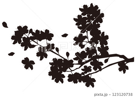 桜　シルエット　春　花　アイコン　 123120738