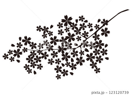 桜　シルエット　春　花　アイコン　 123120739