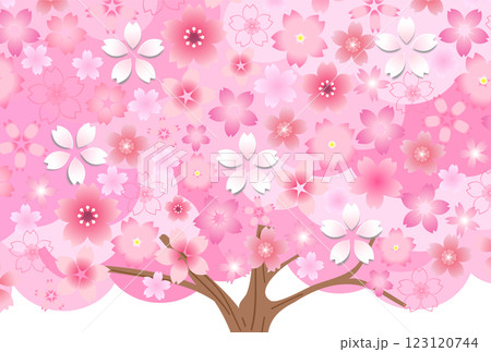 桜　和紙　模様　背景　 123120744
