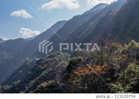 屋久島洋上アルプス 鮮やかな紅葉(11月) 屋久島洋上アルプス 鮮やかな紅葉(11月) 123120754