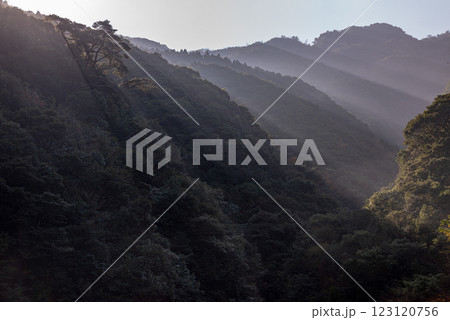 屋久島洋上アルプス 朝の日差しに映える山々(11月) 屋久島洋上アルプス 朝の日差しに映える山々(11月) 123120756