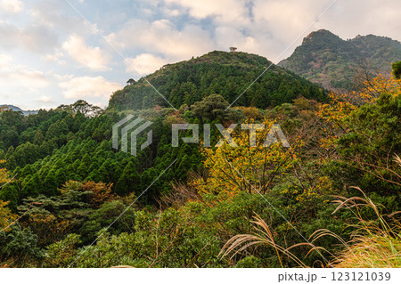 屋久島洋上アルプス　鮮やかな紅葉(11月) 123121039
