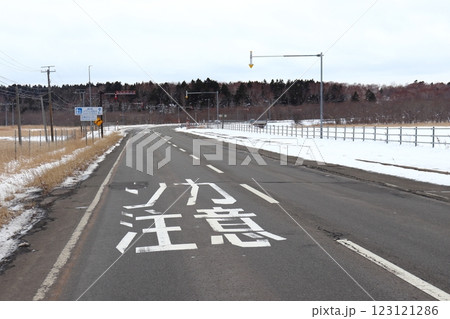 エゾシカ多発地帯の国道44号線「シカ注意」（道の駅スワン44ねむろ付近） 123121286
