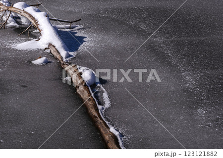 210106ダム湖g103 123121882