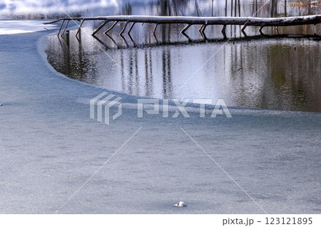 210106ダム湖g151 210106ダム湖g151 123121895