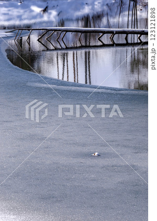 210106ダム湖g155 210106ダム湖g155 123121898