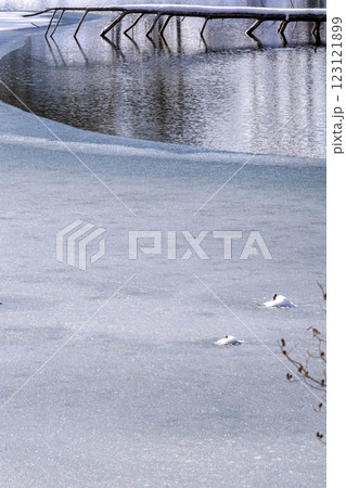 210106ダム湖g156 123121899