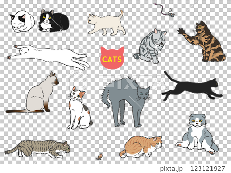 いろんなネコのイラストセット いろんなネコのイラストセット 123121927