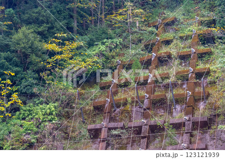 屋久島治山　法面保護工(11月) 123121939