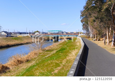 埼玉県越谷市キャンベルタウン野鳥の森周辺2025年1月 123122050