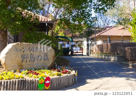 埼玉県越谷市キャンベルタウン野鳥の森周辺2025年1月 埼玉県越谷市キャンベルタウン野鳥の森周辺2025年1月 123122051