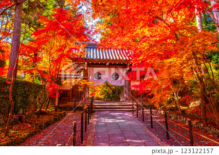 京都 光明寺の紅葉 京都 光明寺の紅葉 123122157
