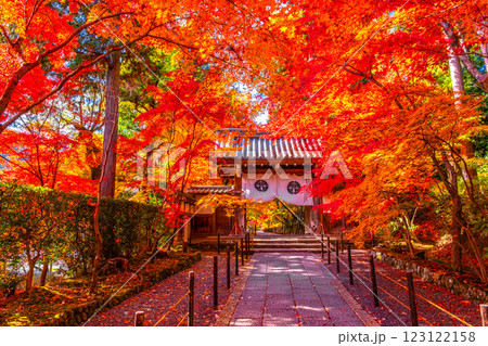 京都　光明寺の紅葉 123122158