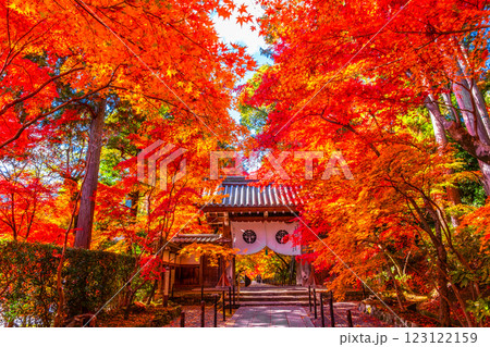 京都　光明寺の紅葉 123122159