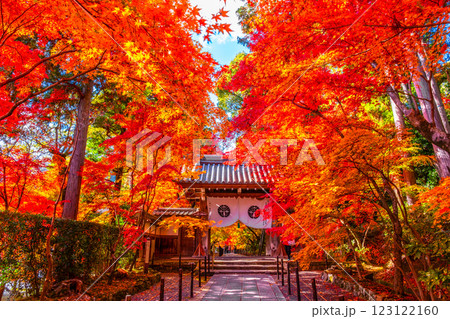 京都　光明寺の紅葉 123122160