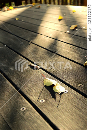 西陽がさす秋の公園のテーブル 123122170