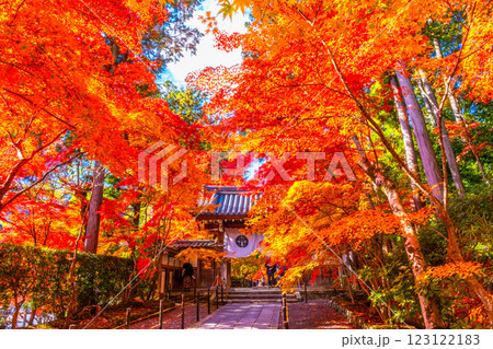 京都 光明寺 紅葉参道の紅葉 京都 光明寺 紅葉参道の紅葉 123122183