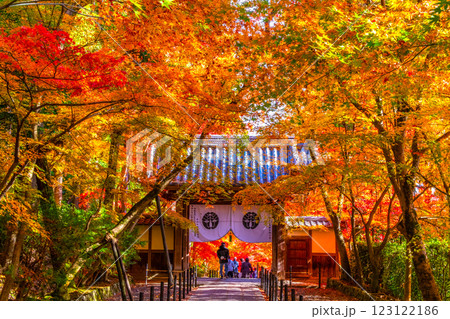 京都 光明寺 紅葉参道の紅葉 京都 光明寺 紅葉参道の紅葉 123122186
