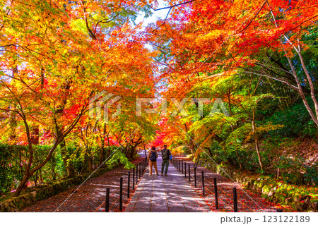 京都 光明寺 紅葉参道の紅葉 123122189