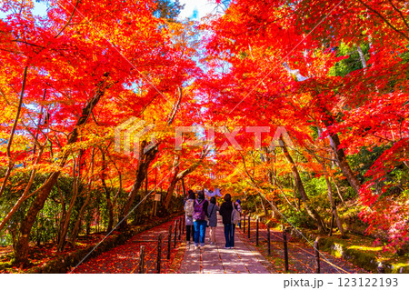 京都 光明寺 紅葉参道の紅葉 京都 光明寺 紅葉参道の紅葉 123122193