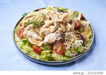 野菜を味あう豚しゃぶサラダ 123123105