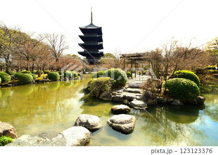 京都府　東寺・庭園 瓢箪池 五重塔　京都市 南区 九条町　2022年2月 123123376