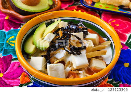 メキシコ料理のソパ・デ・トルティージャ（ソパ・アステカ） 123123506