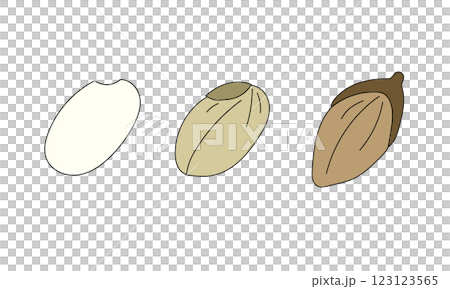Simple illustration of rice and grains 123123565