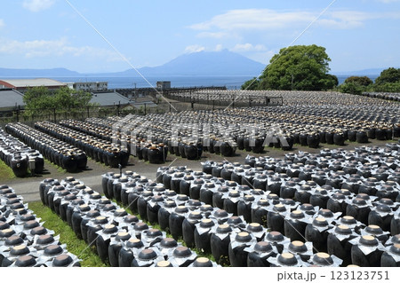 鹿児島 黒酢の壷畑と桜島 鹿児島 黒酢の壷畑と桜島 123123751