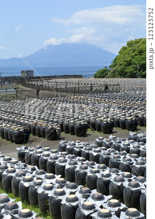 鹿児島　黒酢の壷畑と桜島 123123752