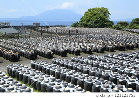 鹿児島　黒酢の壷畑と桜島 123123753