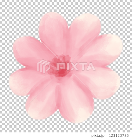 Large blooming pink flower hand-drawn watercolor illustration 123123786