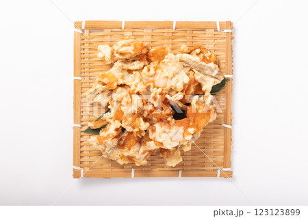 魚肉練り製品（にんじん　ごぼう　いわし　たら） 123123899