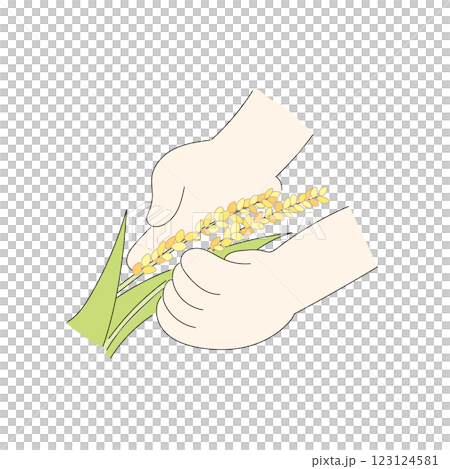 実った稲穂と手のイラスト（A） 123124581