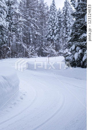 雪道(大山鏡ヶ成付近) 雪道(大山鏡ヶ成付近) 123124633
