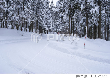 雪道(大山鏡ヶ成付近) 雪道(大山鏡ヶ成付近) 123124637