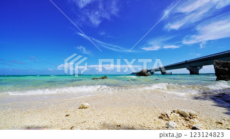 美しい海と夏空 123124823