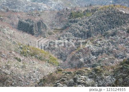 雪化粧した山（出雲市） 123124935