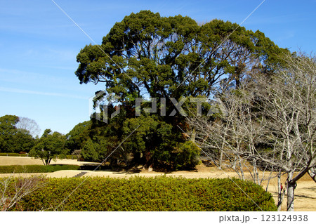 熊本県　江田船山古墳公園　江田船山古墳 123124938