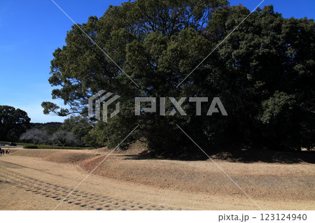 熊本県　江田船山古墳公園　江田船山古墳 123124940