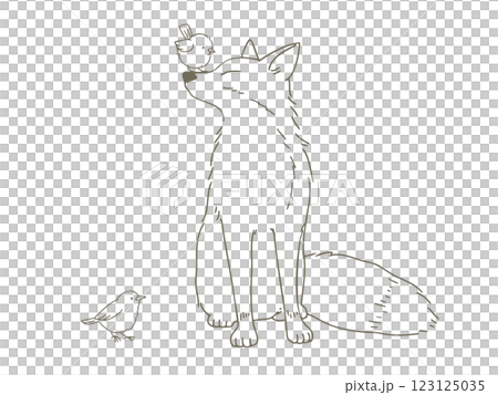 手描きの可愛い小鳥とキツネのイラスト素材 123125035