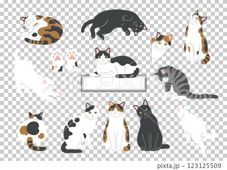 猫のイラスト素材セット 123125509
