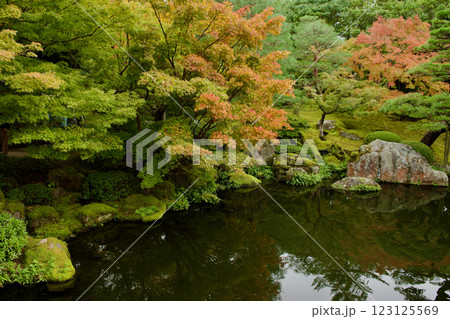 晩秋のの美しい日本庭園 123125569
