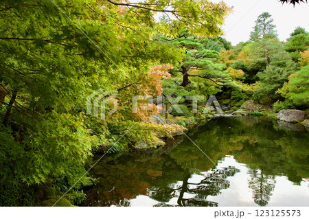 晩秋のの美しい日本庭園 123125573