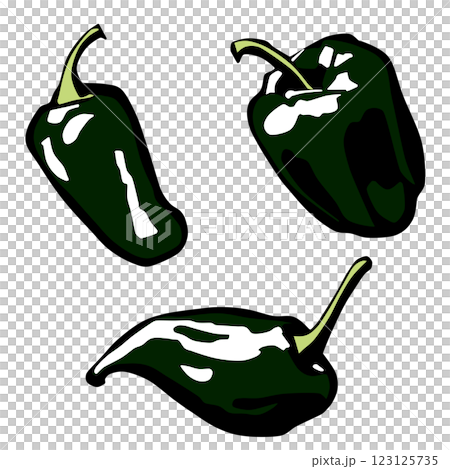 ピーマン ピーマン 123125735