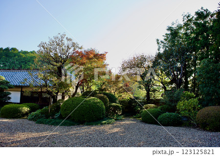 晩秋のの美しい日本庭園 123125821